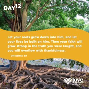 Day 12: 30 Days Of Thanks 2025